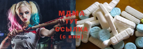 дживик Богородицк
