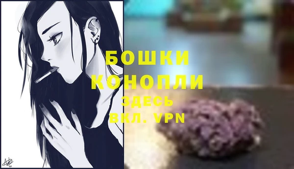 тгк Богданович