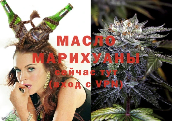 дживик Богородицк