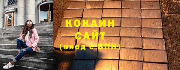 тгк Богданович