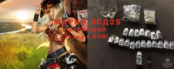 дживик Богородицк