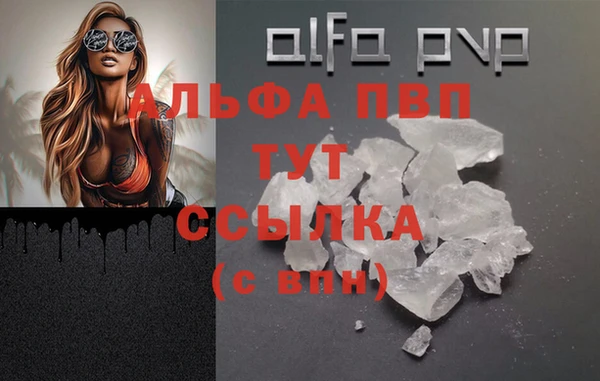 дживик Богородицк