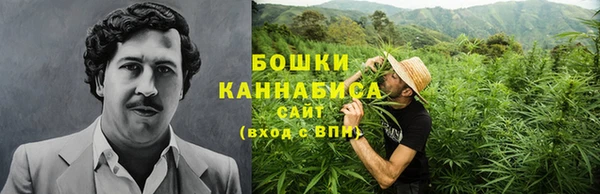 тгк Богданович
