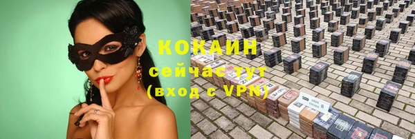 дживик Богородицк