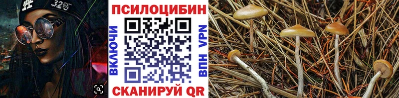 Галлюциногенные грибы Magic Shrooms Пыть-Ях